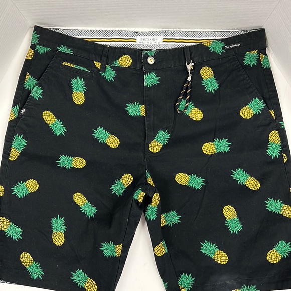 Cactus Man Ricky Singh Pineapple Shorts Size 36 - Picture 1 of 6